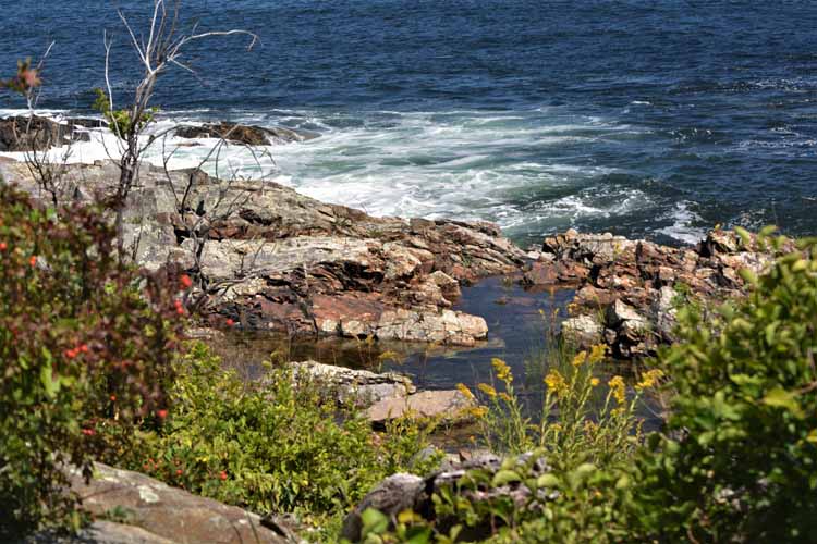 shoreline